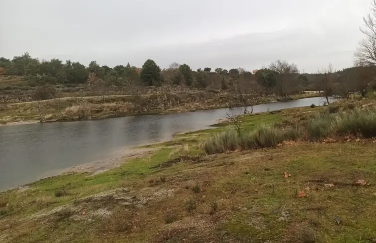Imagem de ribeira com baixo caudal